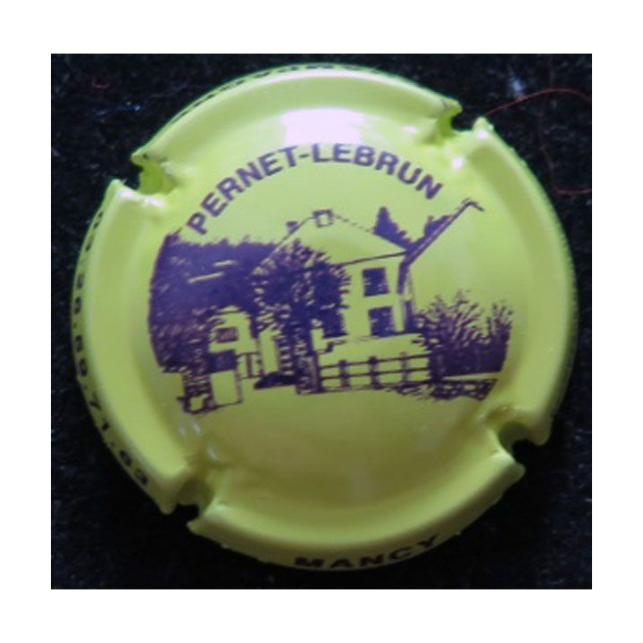 Capsule Muselet de champagne Pernet-Lebrun n° 15 vert jaune et violet