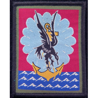11° DP : insigne tissu de la 11° division parachutiste