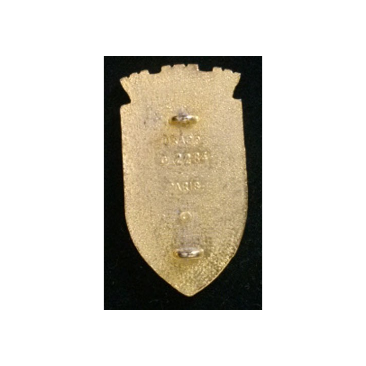 54° RA : 54° RÉGIMENT D'ARTILLERIE (DRAGO)