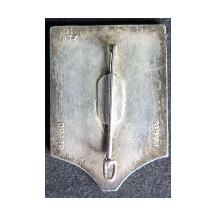 2° REI compagnie montée du 2° régiment étranger d'infanterie vert et ocre