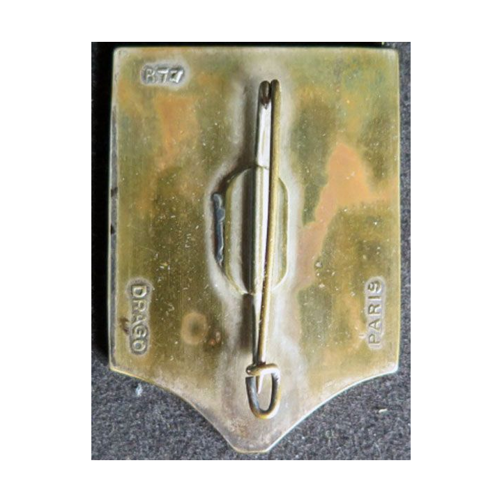 2° REI compagnie montée du 2° régiment étranger d'infanterie vert et rouge
