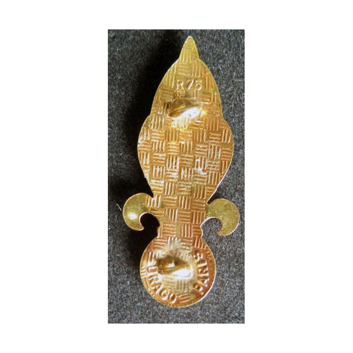 insigne béret 4° régiment étranger d'infanterie Drago grenade REI