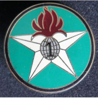 1° REI : compagnie montée du 1° étranger d'infanterie 