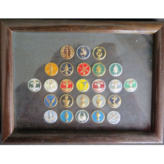 cadre en verre comprenant 25 insignes de col des armes armée de terre