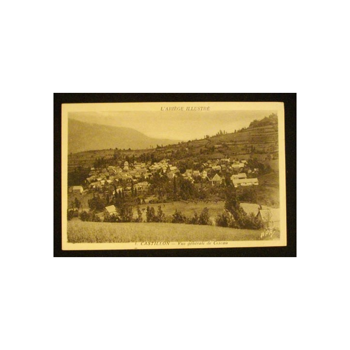 CASTILLON - VUE GÉNÉRALE DE CESCAU