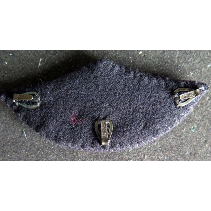 Insigne tissu de casquette d'officier de l'armée de l'air en cannetille