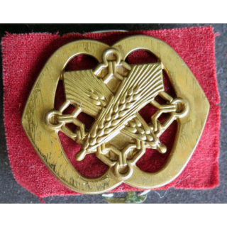 Insigne de béret de l'armée hollandaise