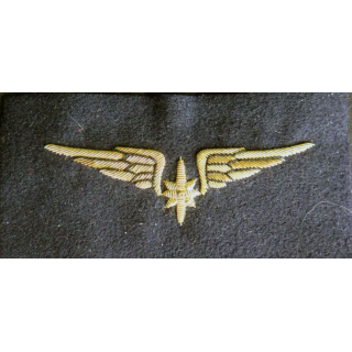 Vieil Insigne de brevet de météorologiste de l'armée de l'air en cannetille 