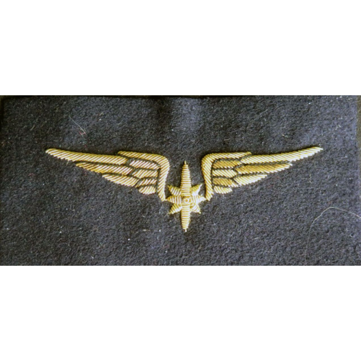 Vieil Insigne de brevet de météorologiste de l'armée de l'air en cannetille 