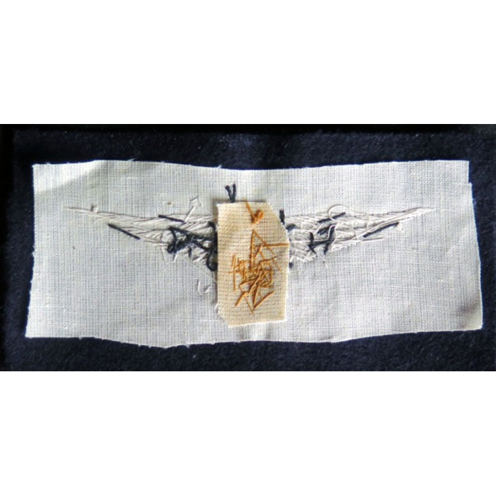 Vieil Insigne de brevet de météorologiste de l'armée de l'air en cannetille 