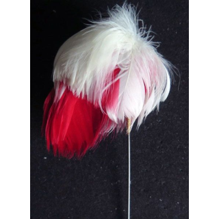 plumet de casoar hauteur des plumes 9 cm