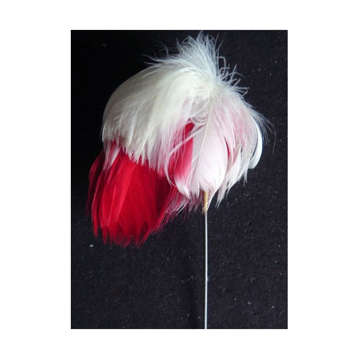 plumet de casoar hauteur des plumes 9 cm
