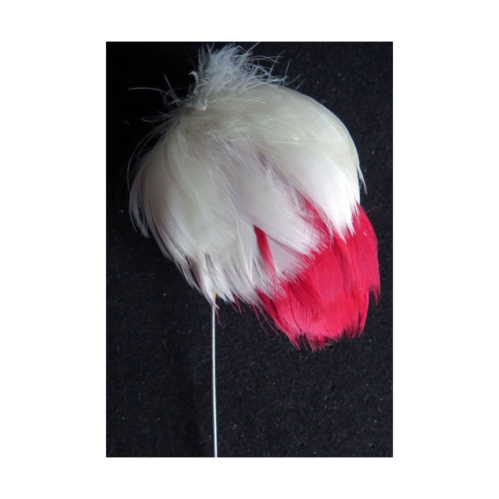 plumet de casoar hauteur des plumes 9 cm