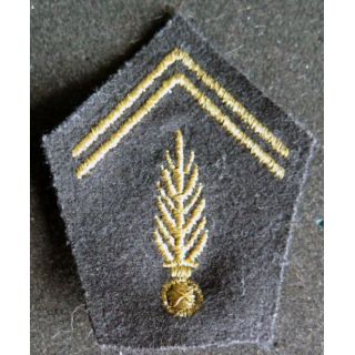 soutache de gendarmerie mobile