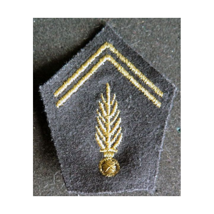 soutache de gendarmerie mobile