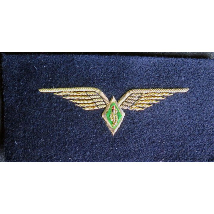 Vieil Insigne de brevet de pharmacien de l'armée de l'air en cannetille