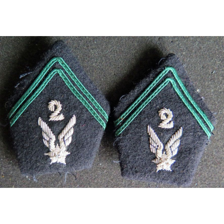 paire d'insignes de col du 2° RHC régiment d'hélicoptères de combat