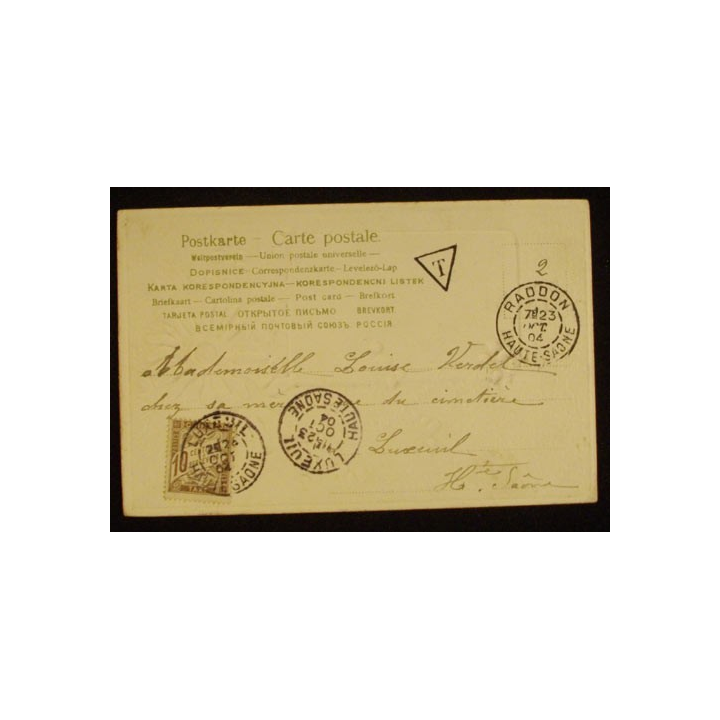 FLEURS 1904