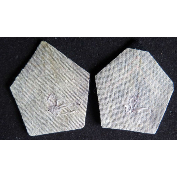 SOUTACHE insignes de col du 2° régiment de cuirassiers en cannetille