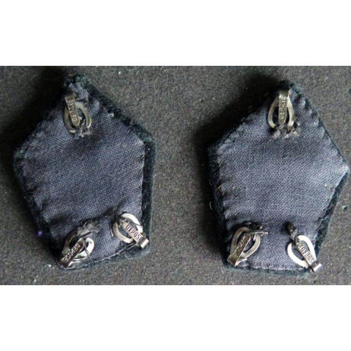 paire d'insignes de col du 54° régiment de transmissions en cannetille