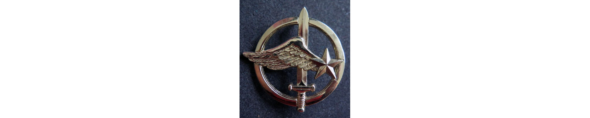 Insigne de l'armée de l'air,