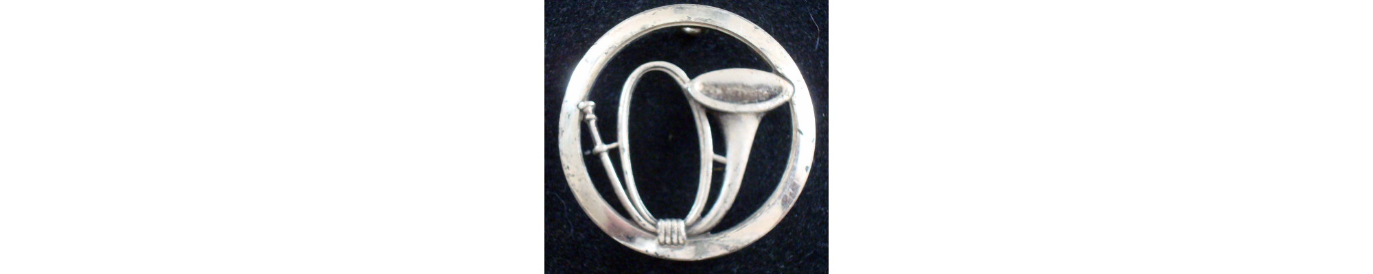 Insigne des chasseurs alpins, de montagne, à pied et mécanisés