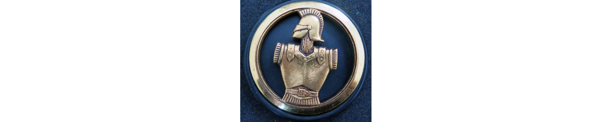 Tous les insignes du Génie alpin, parachutiste, colonial 