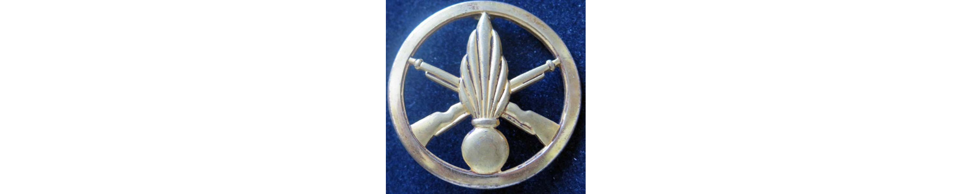 Insigne des unités d'infanterie métropolitaine ou en OPEX